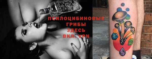 винт Баксан