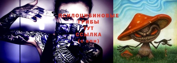 винт Баксан