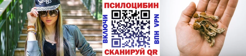 закладки  Курильск  Галлюциногенные грибы мицелий 